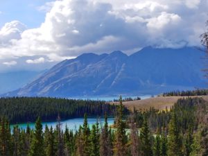 Kluane, haines junction, sheep mountain