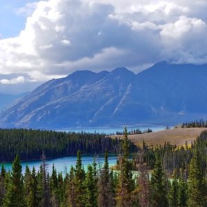 Kluane, haines junction, sheep mountain