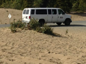 Van, Carcross, Desert