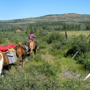 #24 Yukon Horse Pack Adventure – Active Explorer